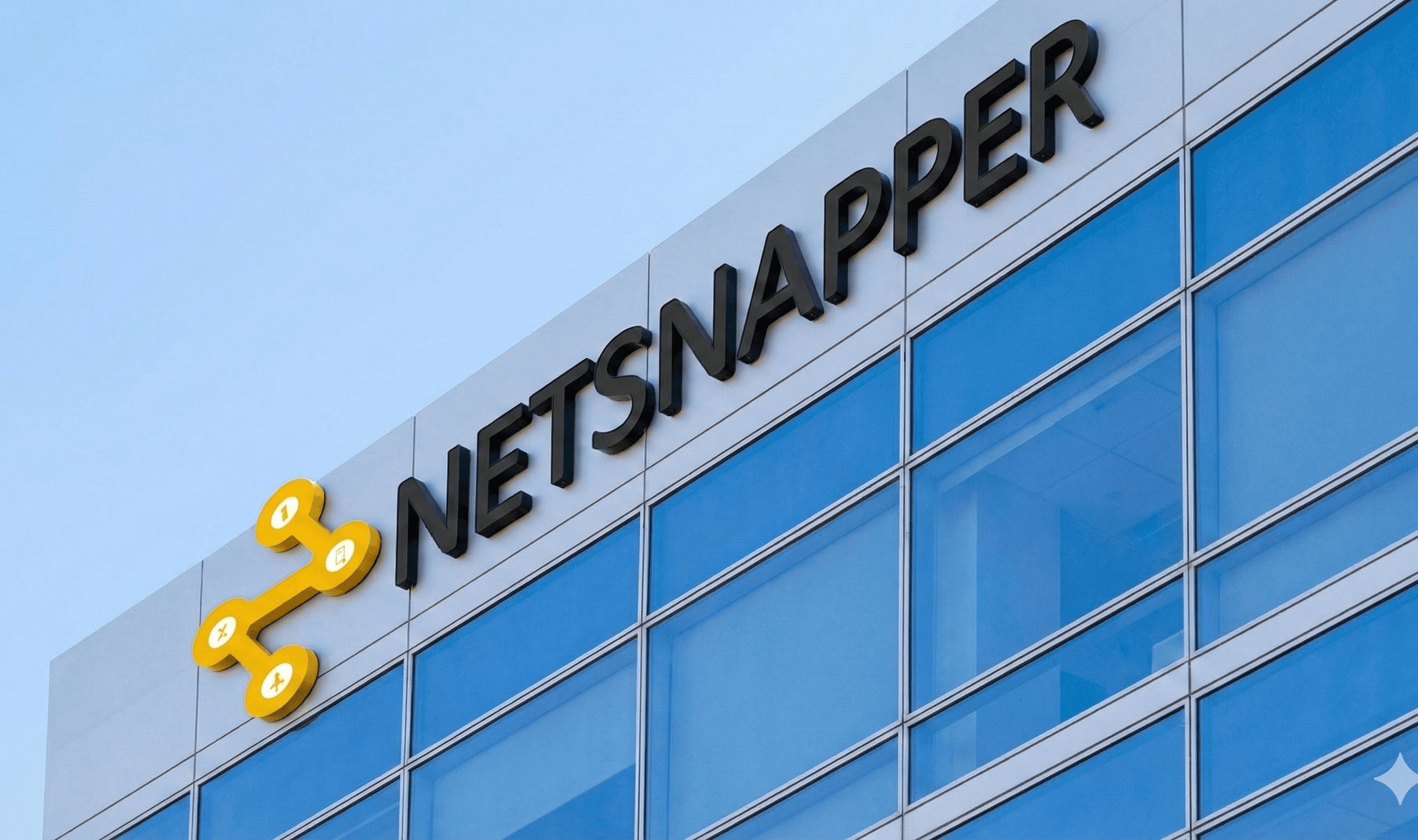 Netsnapper network graphic